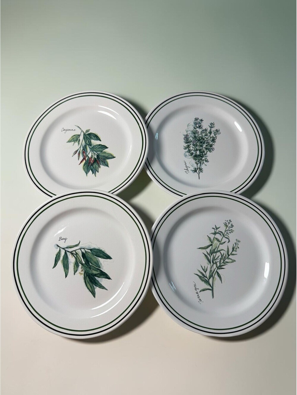 WILLIAMS SONOMA Portugal HERBS SALAD PLATES set of 4 Bay Thyme Cayenne Tarragon